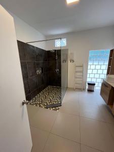 Koupelna v ubytování Duplex Résidence Cardano-jardin privé + 14 fotografií