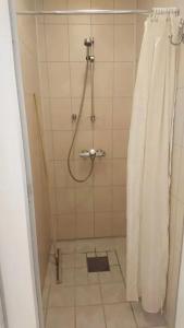 Tørfoss Gård, Hytte utleie, Campingvogn og bobil plasser في Potka: حمام مع دش مع ستارة دش