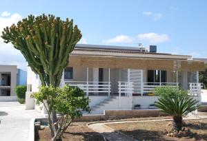 a house with a palm tree in front of it at Sicilia Noto San Lorenzo Villa Amaranto in San Lorenzo +29 photos