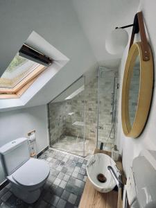 a bathroom with a shower and a toilet and a sink at Hill House SD in Topliţa +36 photos