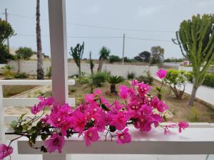 a bunch of pink flowers sitting on a white bench at Sicilia Noto San Lorenzo Villa Amaranto in San Lorenzo