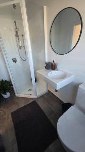 a bathroom with a shower and a sink and a mirror at Apartment 2 - Haddin Court - Stunning Executive in Blenheim