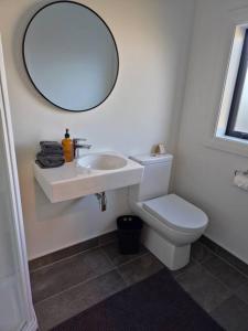 a bathroom with a sink and a toilet and a mirror at Apartment 2 - Haddin Court - Stunning Executive in Blenheim
