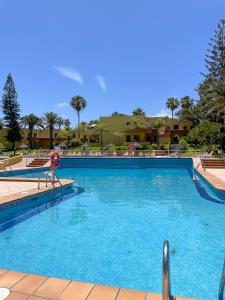 einen großen blauen Pool mit Stühlen und Palmen in der Unterkunft B-Rent Atlantic Garden 181 in Corralejo