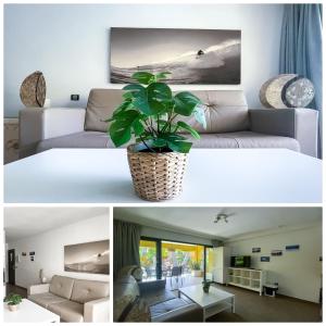 ein Wohnzimmer mit einer Couch und einer Pflanze in der Unterkunft B-Rent Atlantic Garden 181 in Corralejo