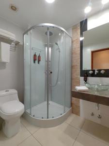 uma casa de banho com um chuveiro, um WC e um lavatório. em Concha y Toro 33 Hotel Boutique by Nobile em Santiago