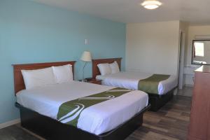 een hotelkamer met 2 bedden en een raam bij Chippewa Motel Mount Pleasant in Mount Pleasant