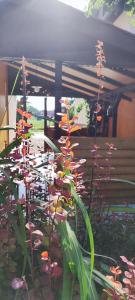 Vonkajšia záhrada v ubytovaní Private Voyage - Pool Grill Patio
