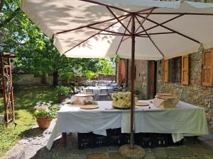 Zahrada ubytování Podere Fichereto Tuscany Apartment in Florence countryside