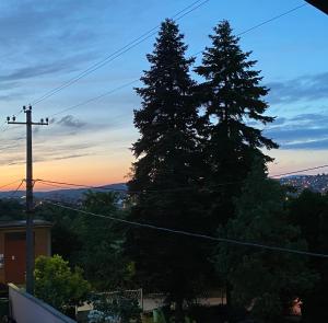 Příroda nedaleko apartmánu