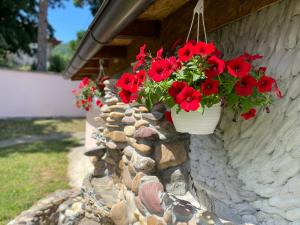 Fotografie z fotogalerie ubytování Bukuljska svežina 1 v destinaci Aranđelovac