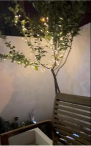 a tree with lights on it next to a bench at Villa Malalien in Tetouan