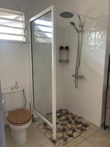 a bathroom with a shower and a toilet at Chez Eric in Rémiré