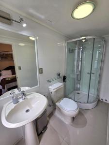 ビーニャデルマールにあるBelle Epoque Hostalのバスルーム(トイレ、洗面台、シャワー付)