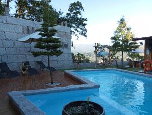 a swimming pool with a tree next to a building at Casa do Outeiro in Arcos de Valdevez