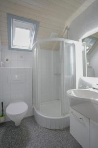 a bathroom with a shower and a toilet and a sink at Ferienhaus 100 am See im Bergland in Kirchheim