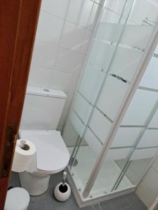 Un baño con inodoro y ducha de cristal. en Orion Studios B, en Centro histórico de Alónnisos