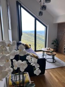 Priroda u blizini apartmana