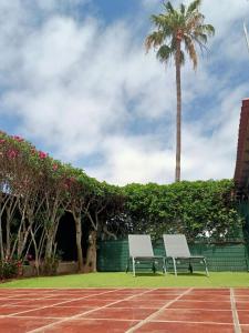 dos bancos en una pista de tenis con una palmera en Bungalow en el sur de Gran Canaria en Las Palmas de Gran Canaria