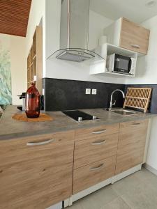 a kitchen with a counter with a sink and a microwave at Ti Oasis SEAVIEW, Studio Vue Mer à 150m de la plage in Corps de Garde