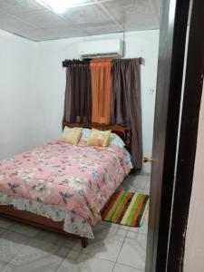 a bedroom with a bed with a pink comforter at Apartamento Terrónal Michael Jordán in David