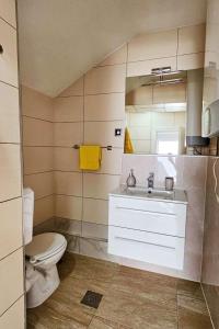 a bathroom with a toilet and a sink and a mirror at Apartments by the sea Duboka, Neretva Delta - Usce Neretve - 23268 in Klek