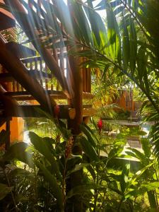 um jardim com plantas verdes e uma cerca de madeira em Pousada Vila dos Corais - Taipu de Fora em Marau