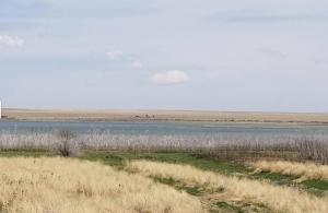 a large body of water in a field at RV Sites For Rent -Power-Water-Sewer-Wifi in Eads