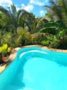 niebieski basen z palmami w tle w obiekcie Lala Land Lodge w mieście Kizimkazi