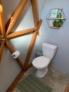 a bathroom with a toilet and a shelf on the wall at Domo montebelo Campos do Jordão in Campos do Jordão