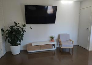 a living room with a tv and a chair and a plant at Perfect Large Multi Family Accommodation in Yarrawonga