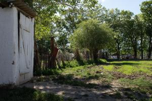 Gallery image of Dastans Homestay, Bed and Breakfast & Horse riding in Kyzart +18 photos