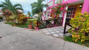 uma casa rosa com uma cerca e algumas plantas em Posada Ashanty em Providencia