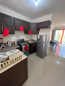 a kitchen with wooden cabinets and a stainless steel refrigerator at Hermoso Apartamento de 2 habitaciones in San Isidro