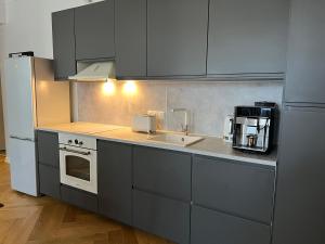 Η κουζίνα ή μικρή κουζίνα στο Meissneri villa +9 φωτογραφίες