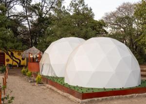 two domes in a garden with trees in the background at Glamping El Encanto in Zapopan