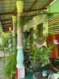 a pole with two potted plants hanging from it at Elena Garden Resort and Restaurant in Trincomalee
