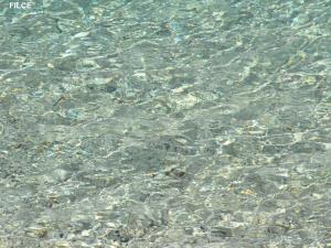 a close up of water with rocks in it at Residence Capobianco in Portoferraio