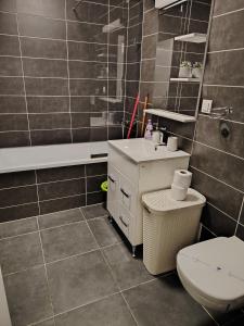 a bathroom with a toilet and a sink at Milan Luxury Apartaments II-Maurer Residence in Târgu-Mureş