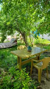 a picnic table with a vase sitting on top of it at Noa Hostel and Guest House in Naxçıvan