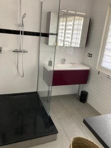 a bathroom with a sink and a shower at Gite Les 3M in Baugy +58 photos