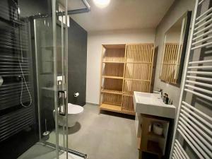 a bathroom with a shower and a sink and a toilet at Apartmány Javorná in Čachrov +105 photos