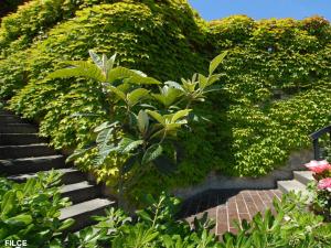 a garden with a hedge with stairs and plants at Residence Capobianco in Portoferraio