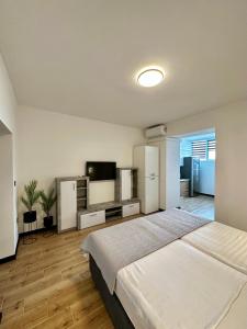 una camera da letto con un letto grande e una TV a schermo piatto di Crolivia Apartments near Arena, center of Pula a Pola (Pula)