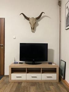 a television with a bull head on a wall at Černý Tulipán - Apartmán 2 in Pilsen