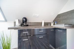 Kuchyňa alebo kuchynka v ubytovaní Buzavirág Apartman
