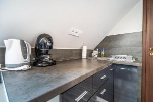 Kuchyňa alebo kuchynka v ubytovaní Buzavirág Apartman + 17 fotografií
