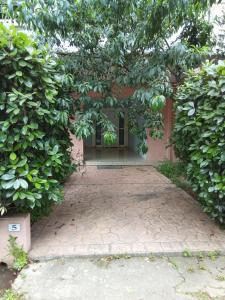 Jardí fora de Olga& Jimmy's
