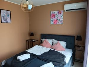 1 dormitorio con 1 cama con almohadas rosas en Avram Iancu Apartments, en Brasov 72 fotos más