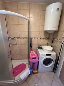 un piccolo bagno con lavatrice e asciugatrice di Stojovic house a Žabljak